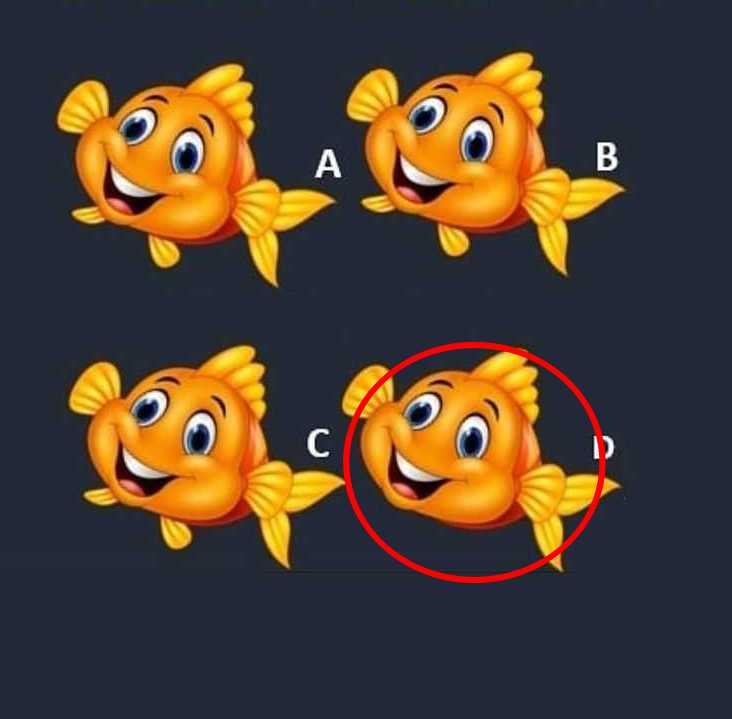 Σπαζοκεφαλιά, ψάρι