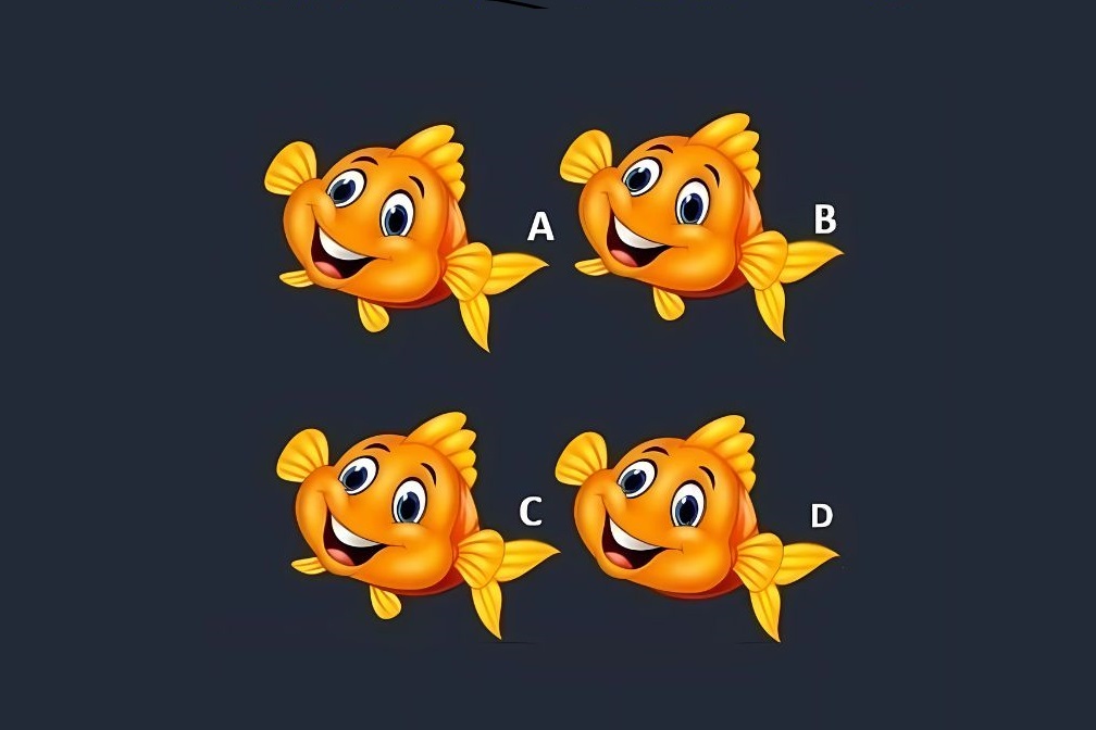 Σπαζοκεφαλιά, ψάρι