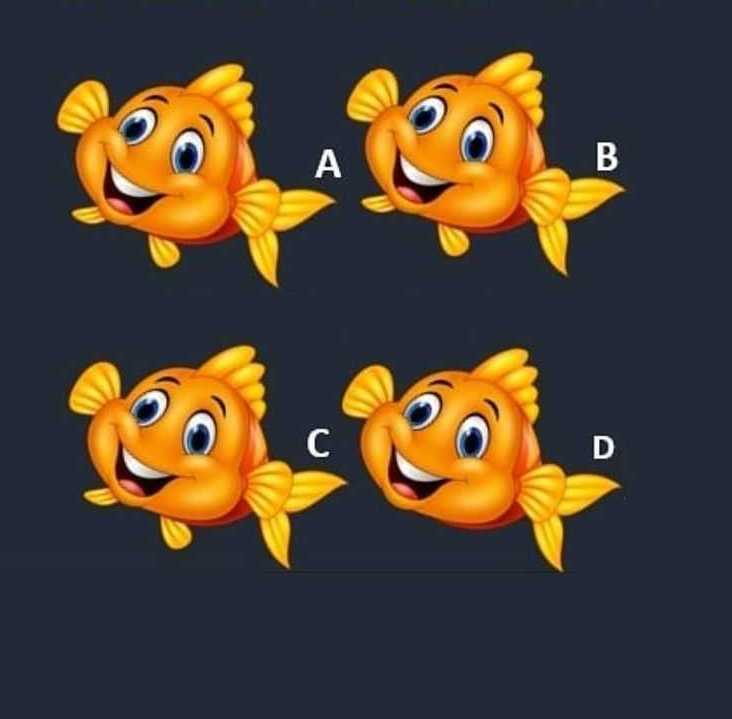 Σπαζοκεφαλιά, ψάρι