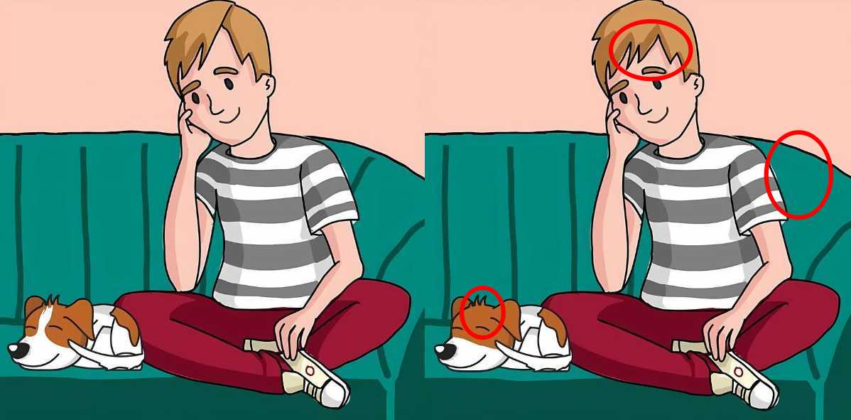 Τεστ παρατηρητικότητας, διαφορές, αγόρι, σκύλος