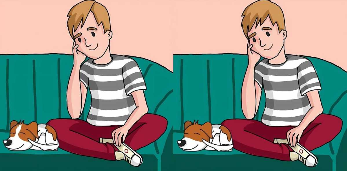 Τεστ παρατηρητικότητας, διαφορές, αγόρι, σκύλος