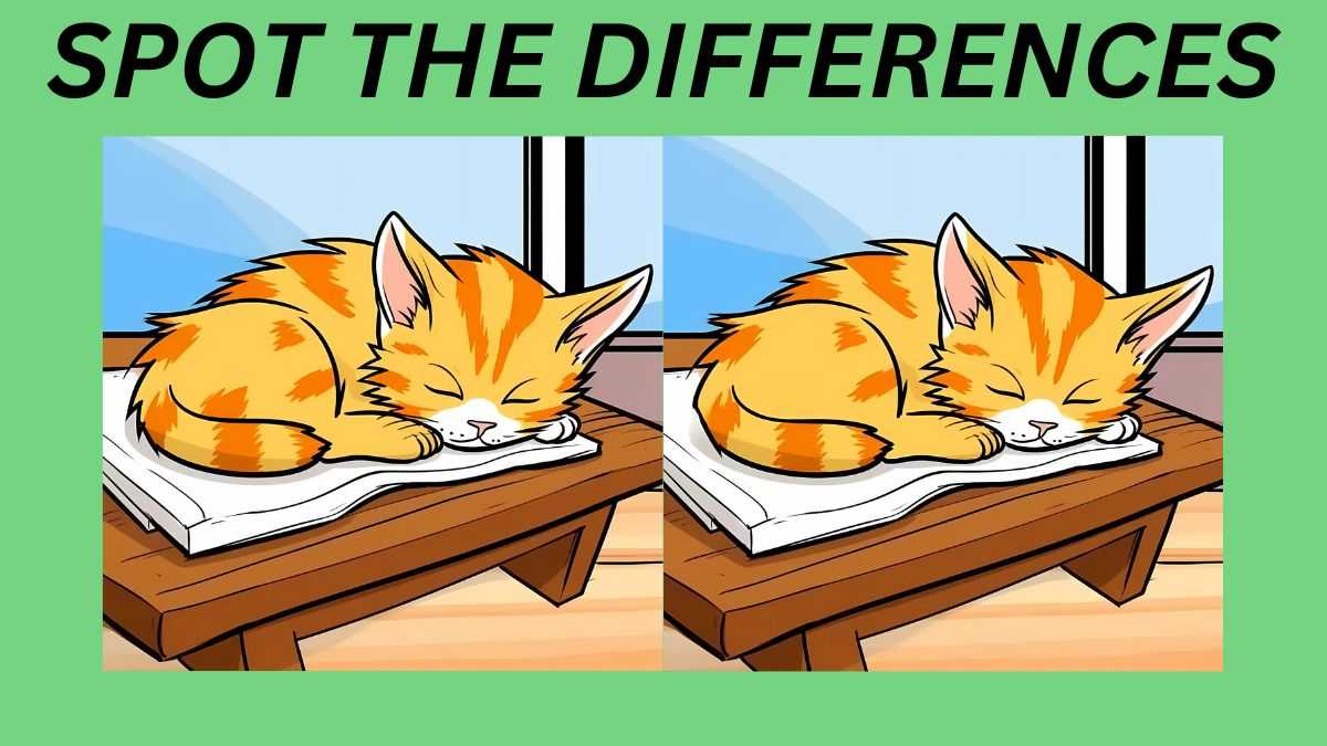 Τεστ παρατηρητικότητας, διαφορές, γάτα