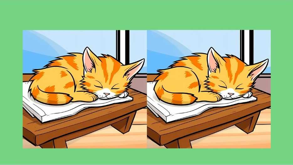 Τεστ παρατηρητικότητας, διαφορές, γάτα