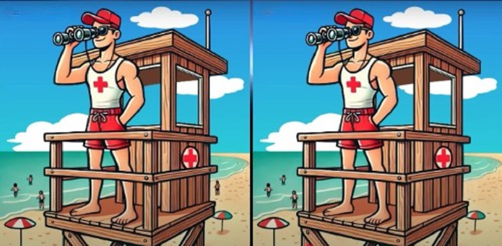 Τεστ παρατηρητικότητας, διαφορές, ναυαγοσώστης