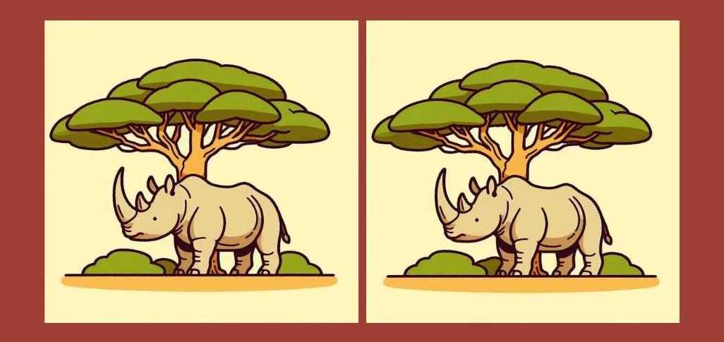 Τεστ παρατηρητικότητας, διαφορές, ρινόκερος