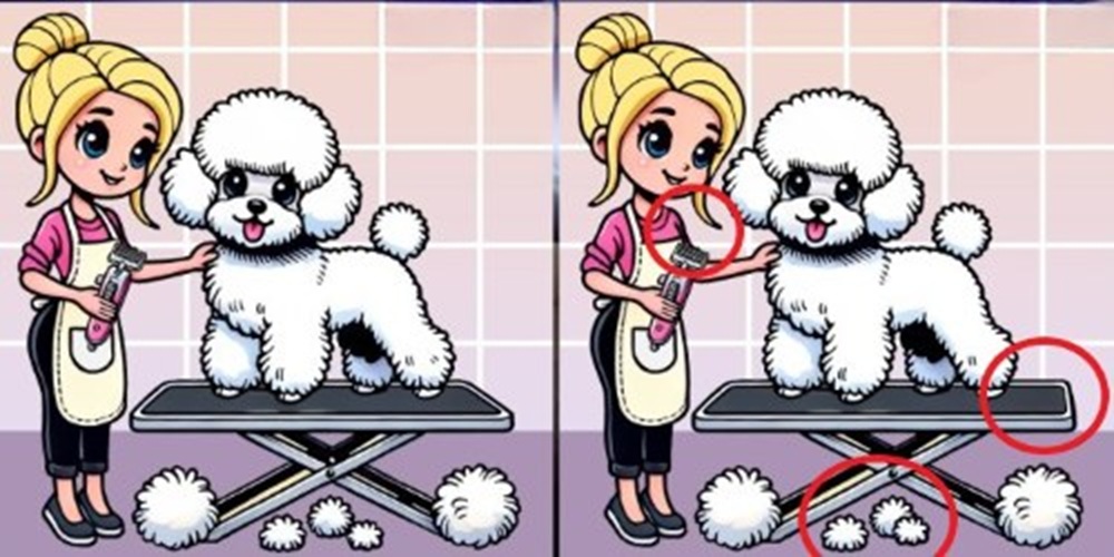 Τεστ παρατηρητικότητας, διαφορές, κορίτσι, σκυλάκι