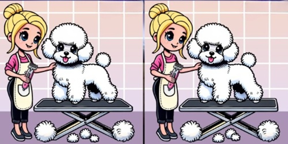 Τεστ παρατηρητικότητας, διαφορές, κορίτσι, σκυλάκι