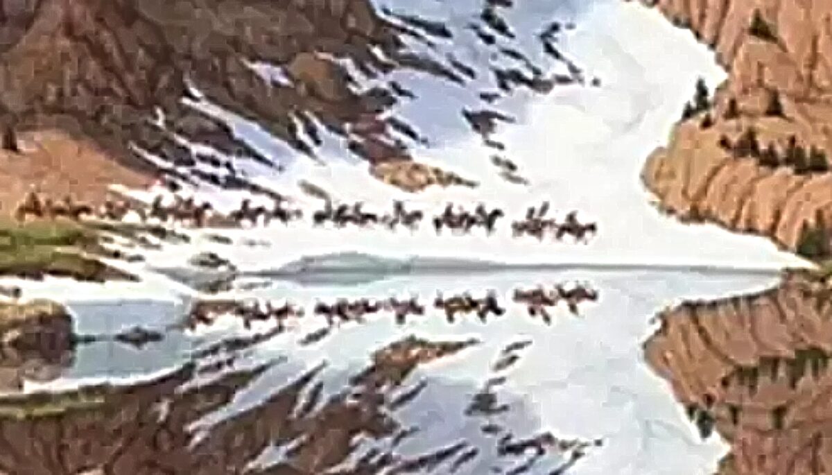 τεστ προσωπικότητας