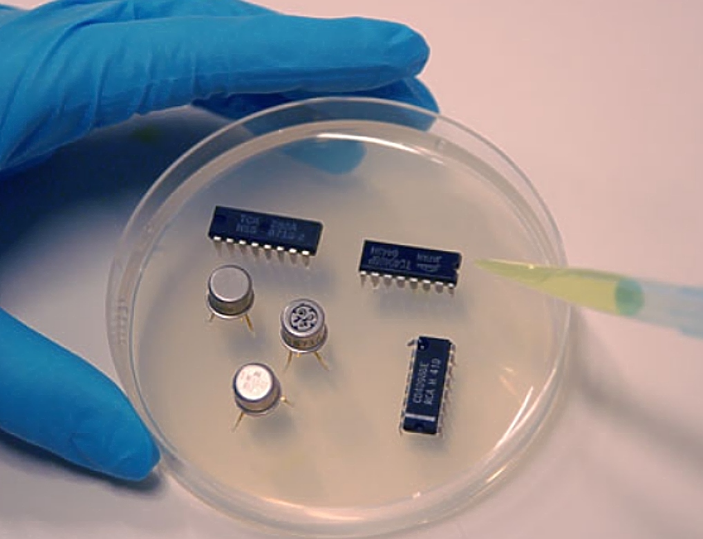 βιολογικοί υπολογιστές