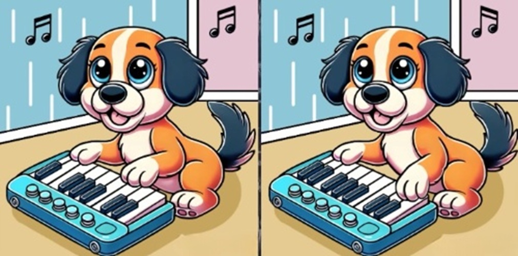 τεστ παρατηρητικότητας, διαφορές, σκυλάκι, πιάνο