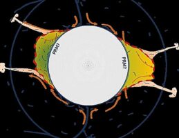 Η Γη έχει δύο μυστηριώδεις προεξοχές στον πυρήνα της και δεν είναι ίδιες – Γιατί προβληματίζουν τους γεωλόγους