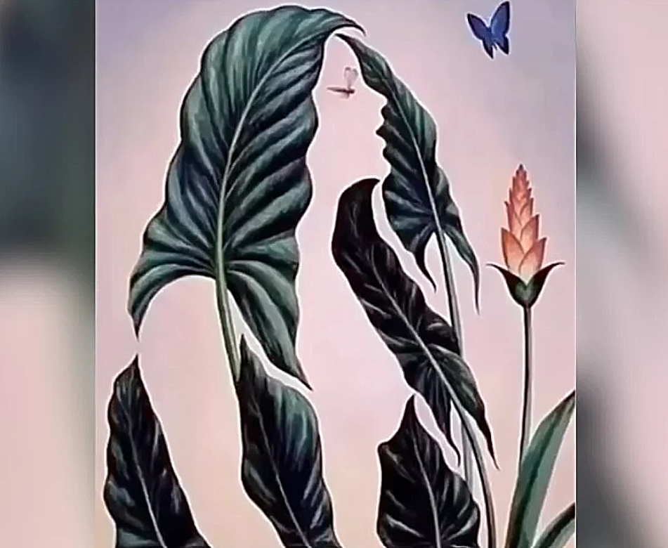 τεστ, εικόνα