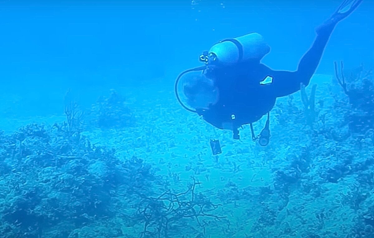 sonar, δύτης