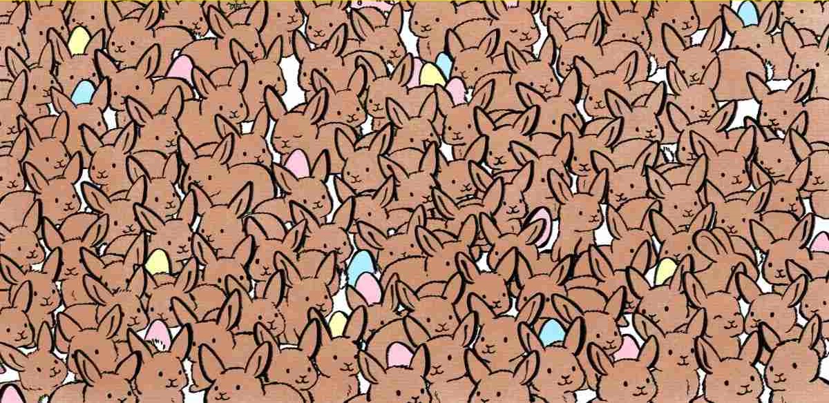 σπαζοκεφαλιά, λαγουδάκια