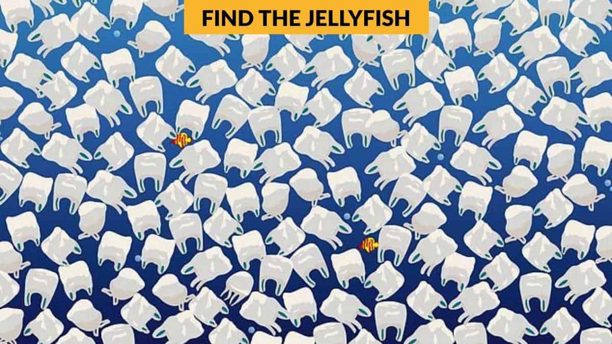 σπαζοκεφαλιά, μέδουσα