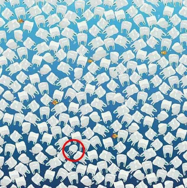 σπαζοκεφαλιά, μέδουσα