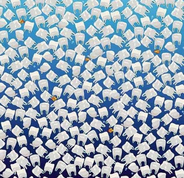 σπαζοκεφαλιά, μέδουσα