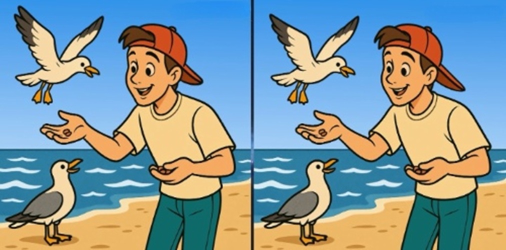 Τεστ παρατηρητικότητας, διαφορές, άνδρας, γλάρος