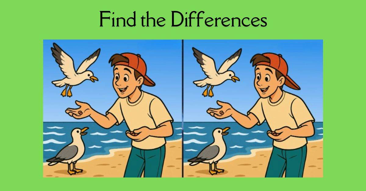 Τεστ παρατηρητικότητας, διαφορές, άνδρας, γλάρος