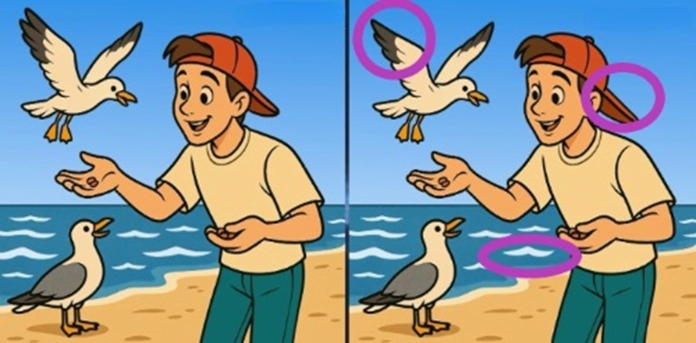 Τεστ παρατηρητικότητας, διαφορές, άνδρας, γλάρος