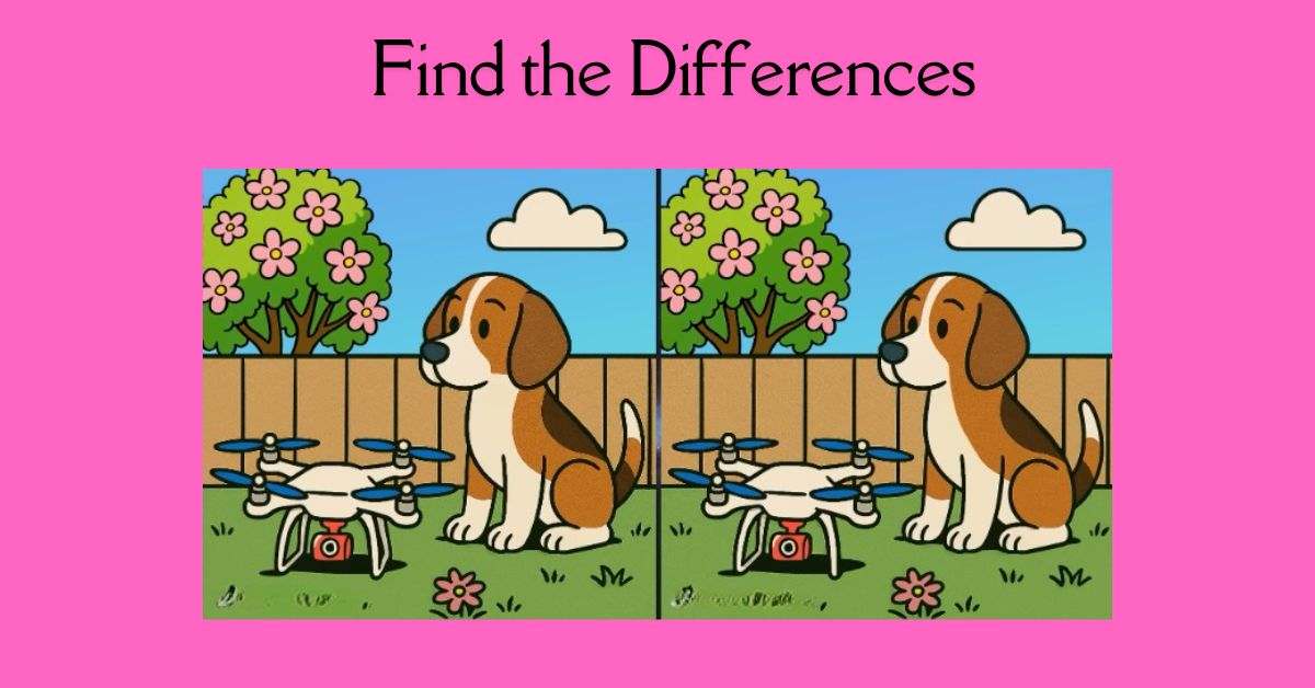 Τεστ παρατηρητικότητας, διαφορές, σκύλος, drone