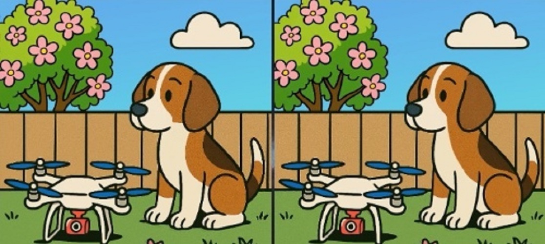Τεστ παρατηρητικότητας, διαφορές, σκύλος, drone