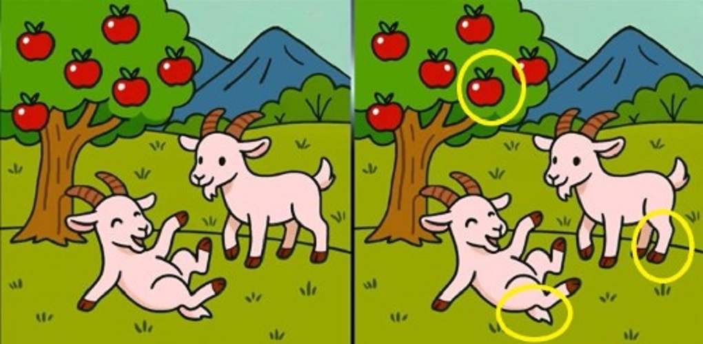 Τεστ παρατηρητικότητας, διαφορές, κατσίκες