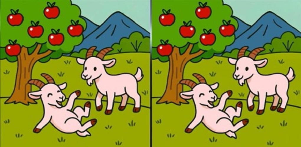 Τεστ παρατηρητικότητας, διαφορές,