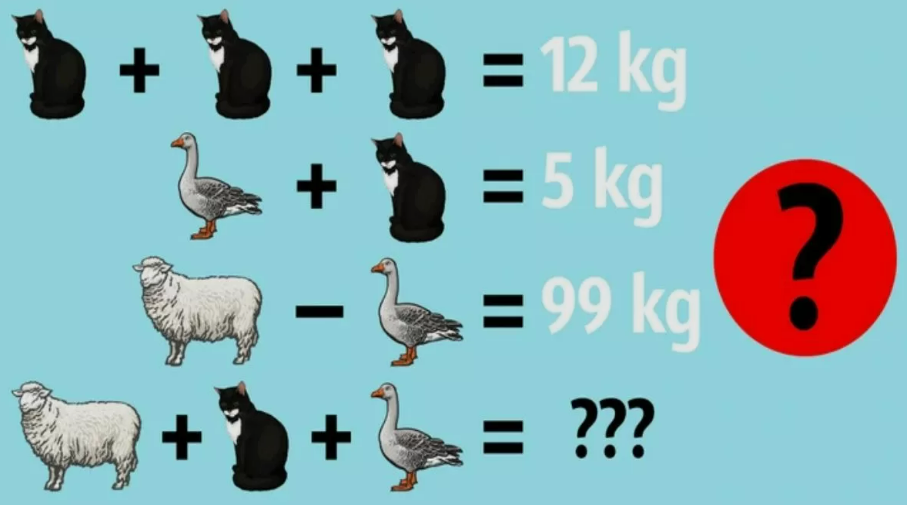 τεστ, IQ