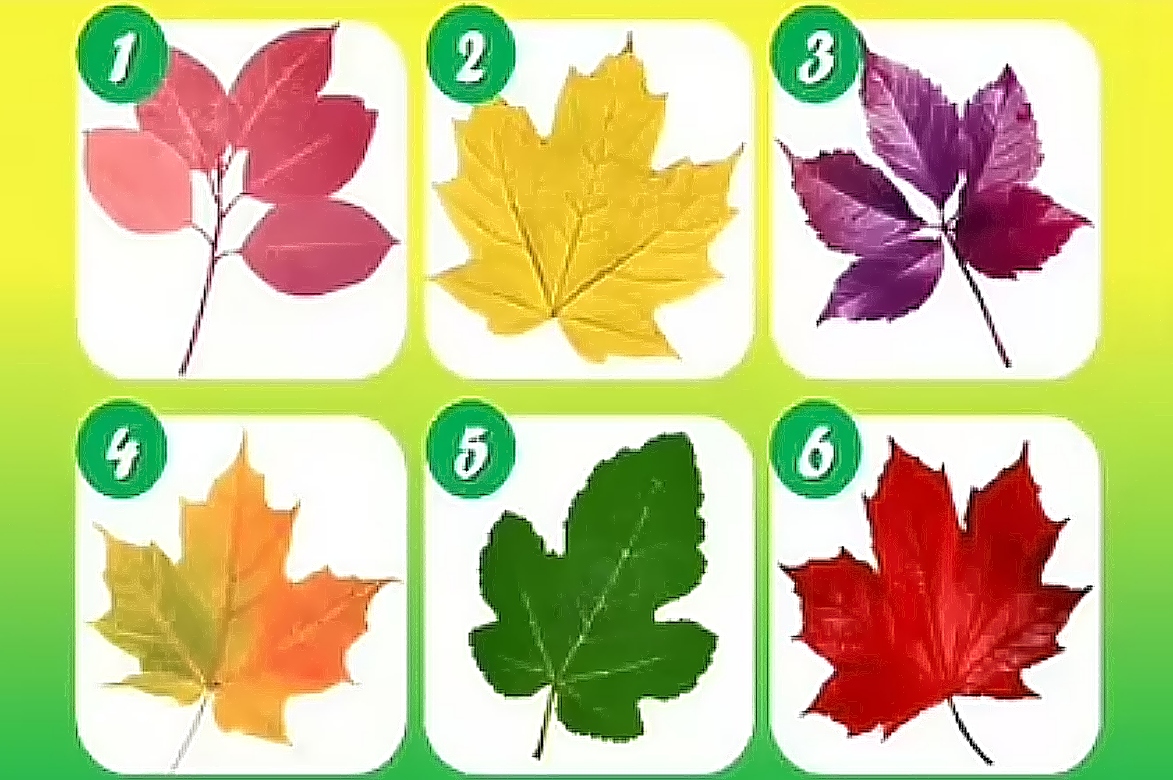 τεστ, εικόνα