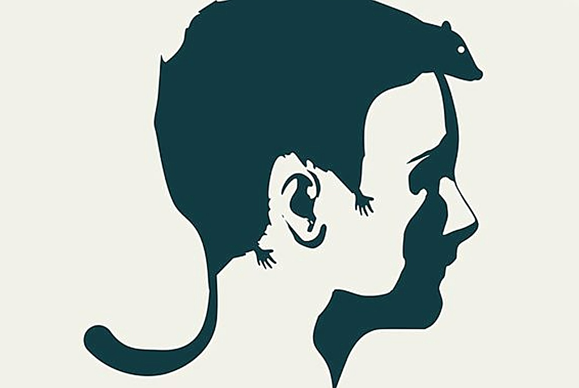 τεστ, εικόνα