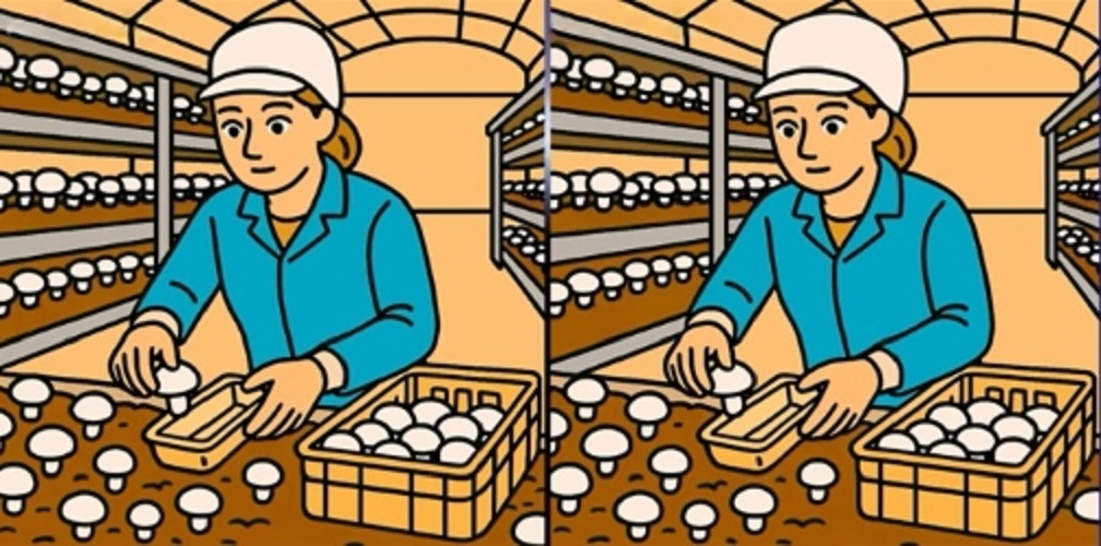 Τεστ παρατηρητικότητας, διαφορές, γυναίκα, μανιτάρια