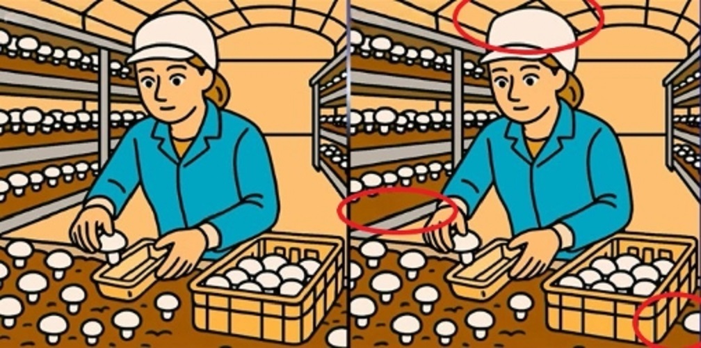 Τεστ παρατηρητικότητας, διαφορές, γυναίκα, μανιτάρια