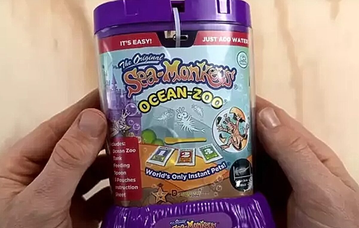 Sea Monkeys