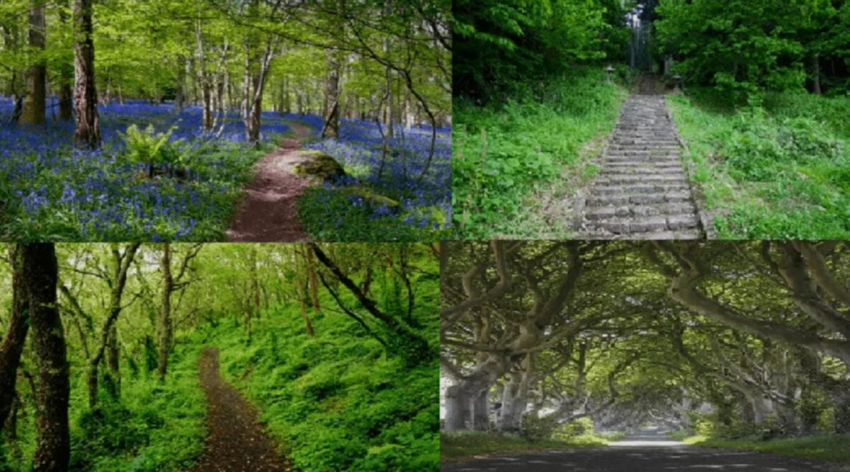 τεστ, εικόνα