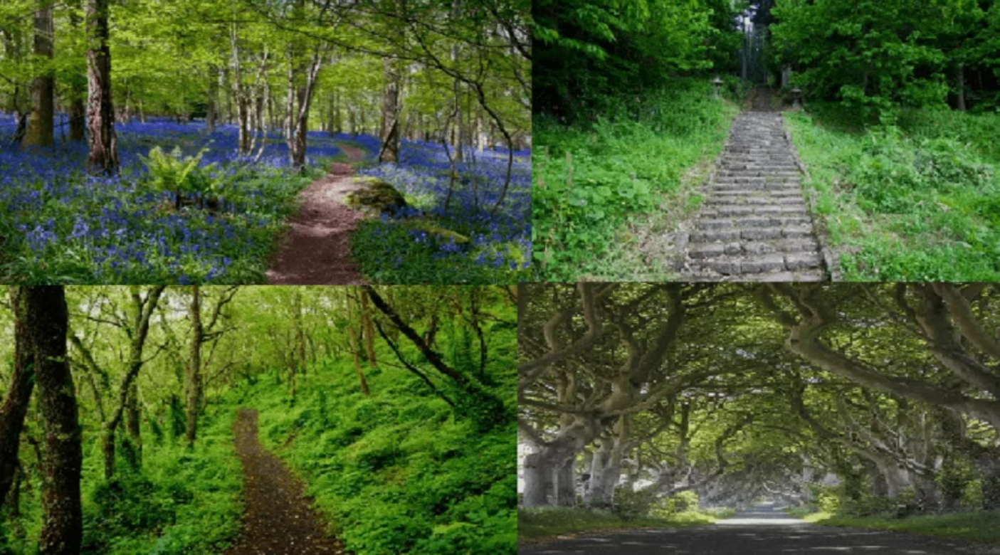 τεστ, εικόνα