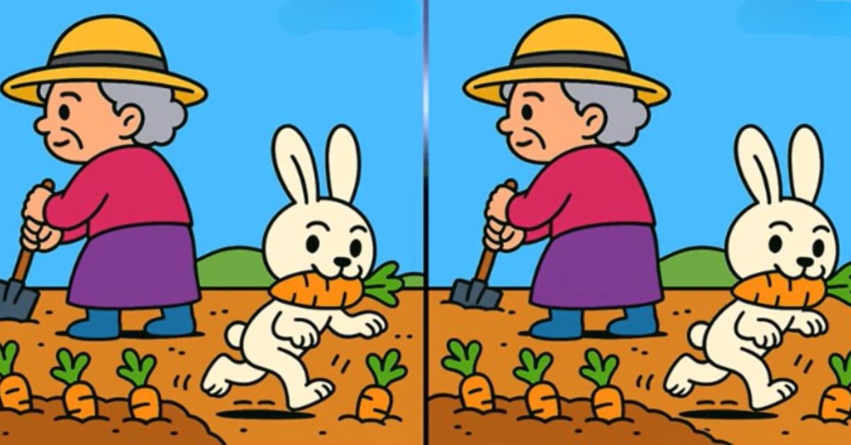Τεστ παρατηρητικότητας, διαφορές, γιαγιά, λαγός