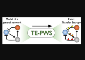 Αλγόριθμος ποσοτικοποιεί με ακρίβεια τη ροή πληροφορίας σε πολύπλοκα δίκτυα