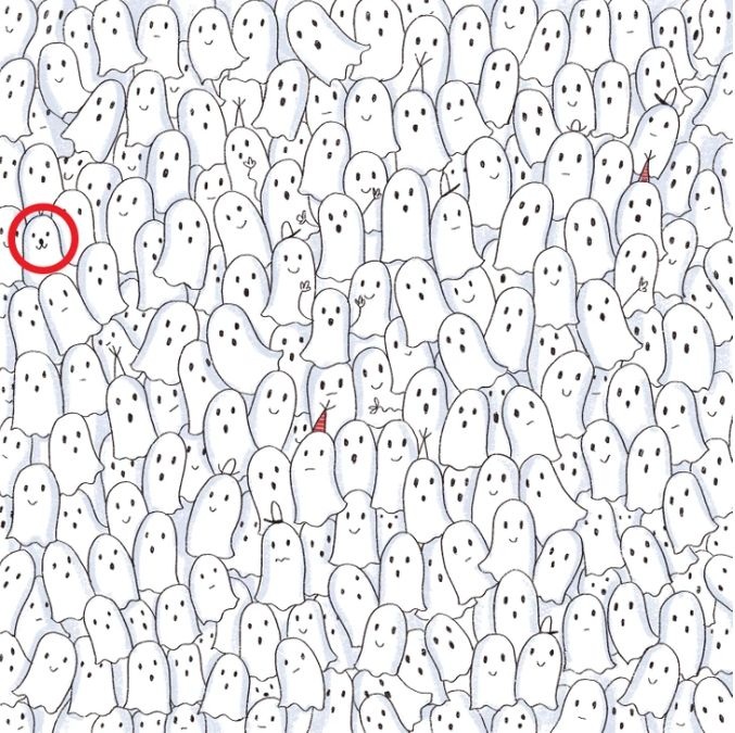 Σπαζοκεφαλιά, φώκια