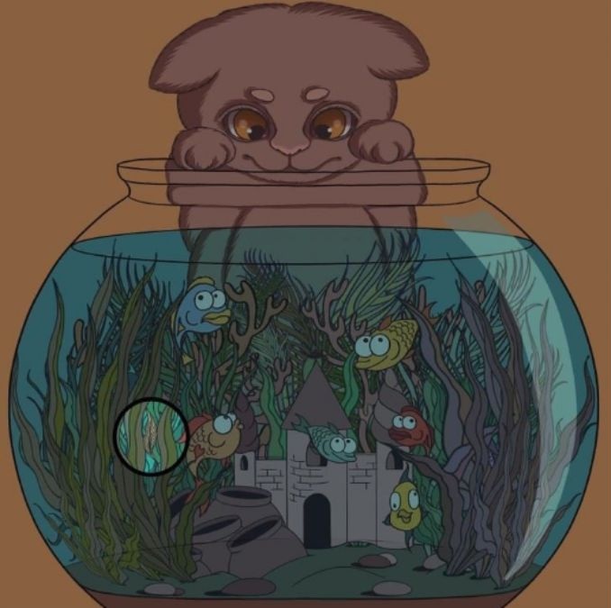 Σπαζοκεφαλιά, φτερό