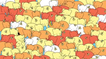 Σπαζοκεφαλιά: Βρες την καρδιά στην εικόνα σε 5 δευτερόλεπτα