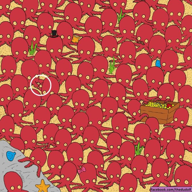 Σπαζοκεφαλιά, ψάρι