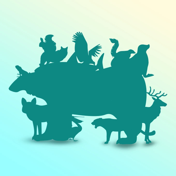 Σπαζοκεφαλιά, ζώα