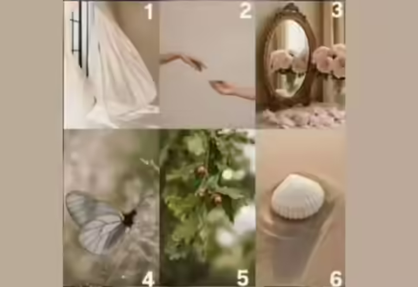 τεστ, εικόνα