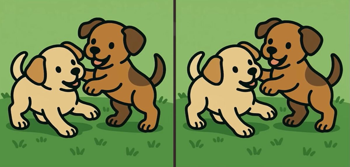 Τεστ παρατηρητικότητας, διαφορές, κουτάβια