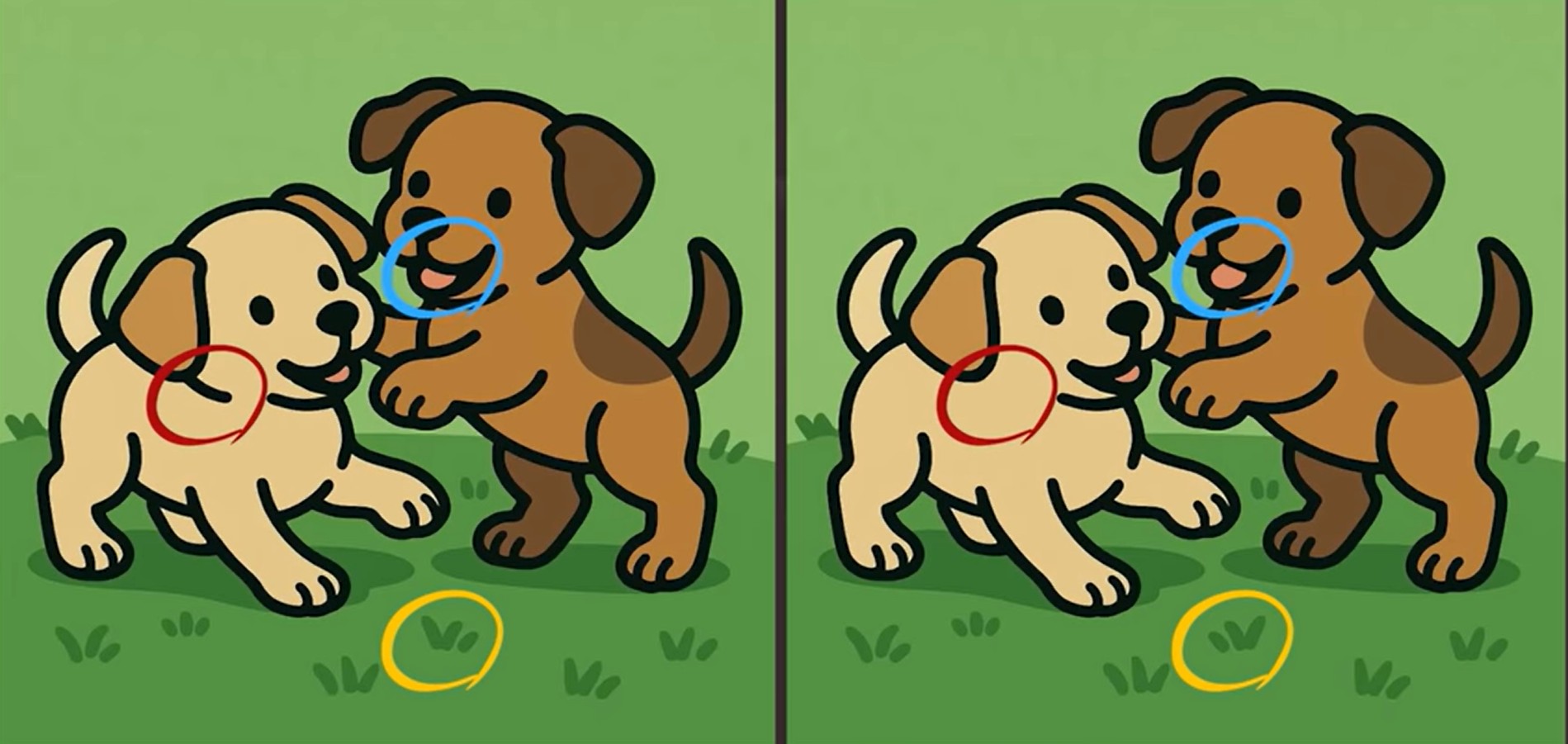 Τεστ παρατηρητικότητας, διαφορές, κουτάβια