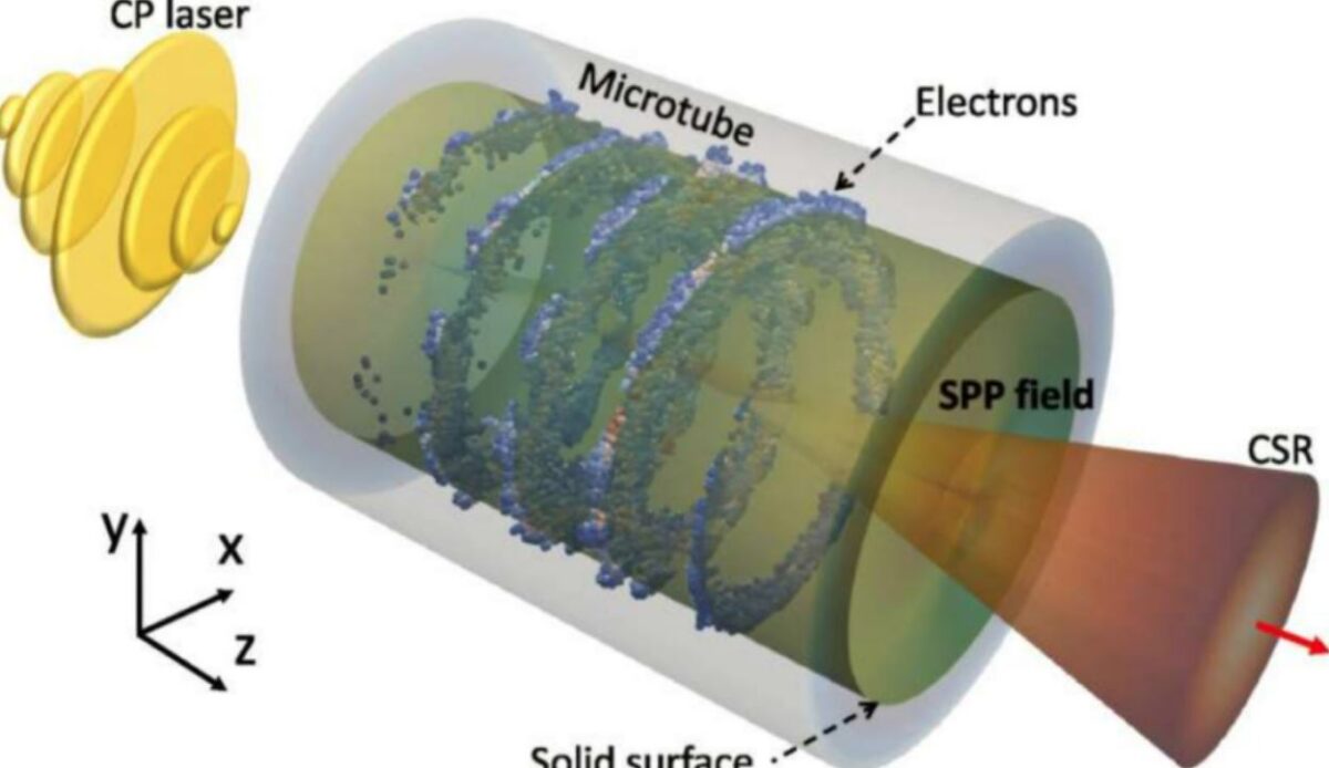 επιταχυντής