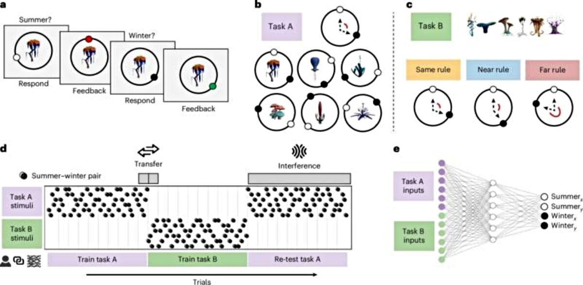 νευρωνικά δίκτυα