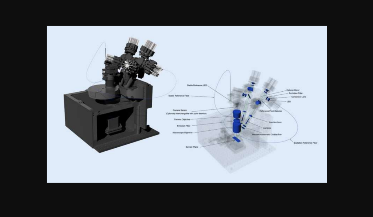 Ανοιχτού κώδικα «μακροσκόπιο» προσφέρει δυναμική απεικόνιση φωταύγειας