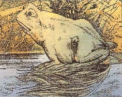 Σπαζοκεφαλιά: Βρες το κρυμμένο ζώο στην εικόνα σε 6 δευτερόλεπτα